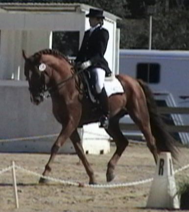 Charleston, ridden by Gigha