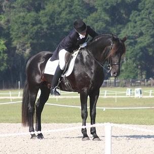 Gigha Steinman Moldrik riding Lexington Friesian Sporthorse stallion