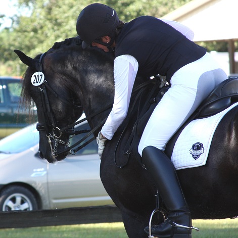 Lexington & Gigha Steinman, Friesian Sporthorse