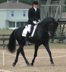 Lexington, ridden by Gigha