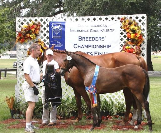 Lily ROF, National Champion Friesian Sporthorse filly