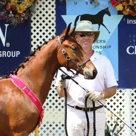 Friesian Sporthorse Regional Finals Reserve Champion Lola CS