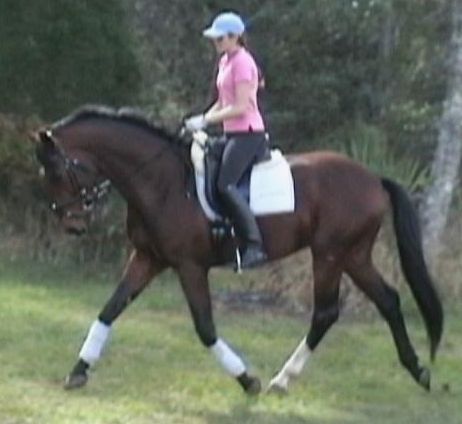 G Walkabout, ridden by Gigha Steinman