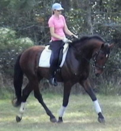G Walkabout, ridden by Gigha
