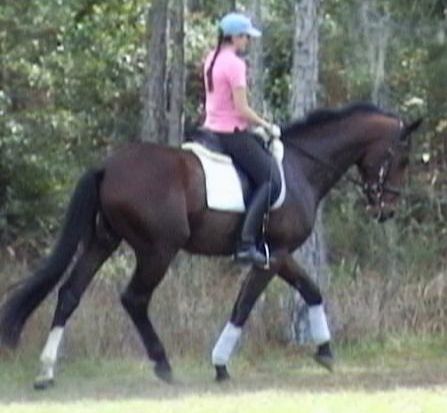 G Walkabout, ridden by Gigha Steinman
