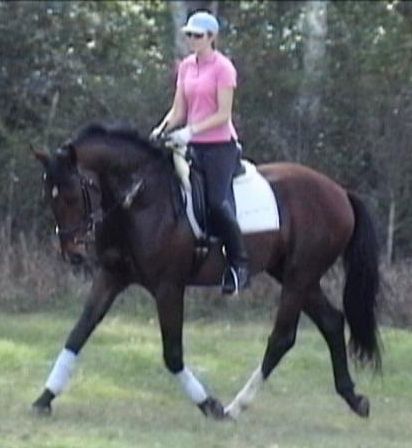 G Walkabout, ridden by Gigha