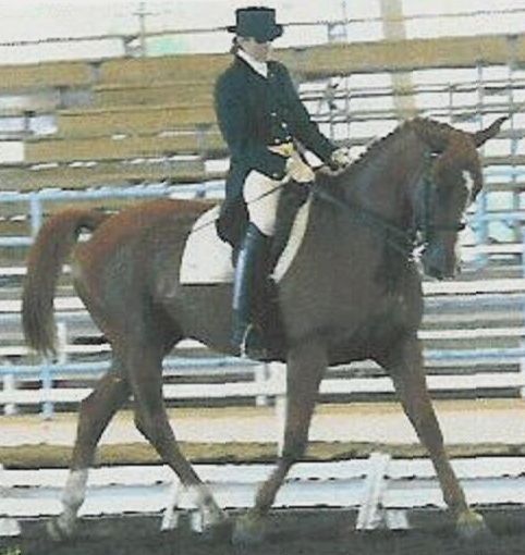 Gigha riding Willoughby