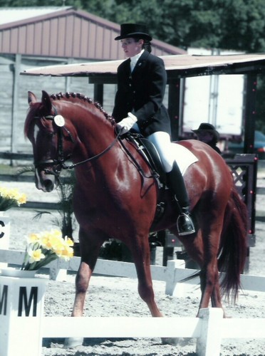 Gigha & Charleston, competing at Fox Lea, 2005