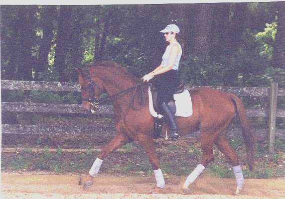 Perias, 16h, Han/TB gelding, ridden by Gigha