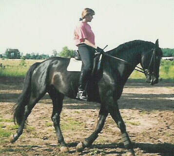 Rudiger, Trak. stallion, & Gigha, est. 1992