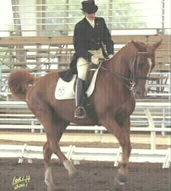 Willoughby & Gigha.  FEI Champions, Canterbury Summer Circuit 2001