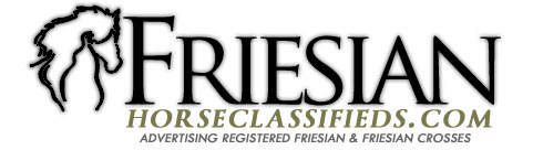 Friesian Horse Classifieds ~ registered Friesians & Friesian Crosses