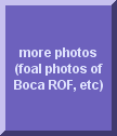 click to see more photos of Boca ROF....