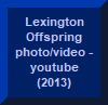 Lexington Offspring