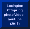 Lexington Offspring Lexington Offspring