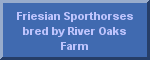 River Oaks Farm's Friesian Sporthorses
