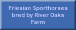 River Oaks Farm's Friesian Sporthorses