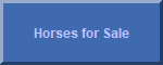 River Oaks Farm ~ Horses for Sale