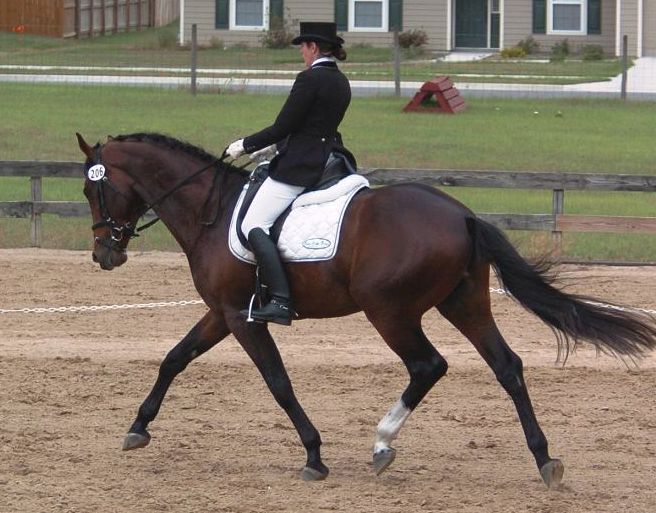 G Walkabout, ridden by Gigha