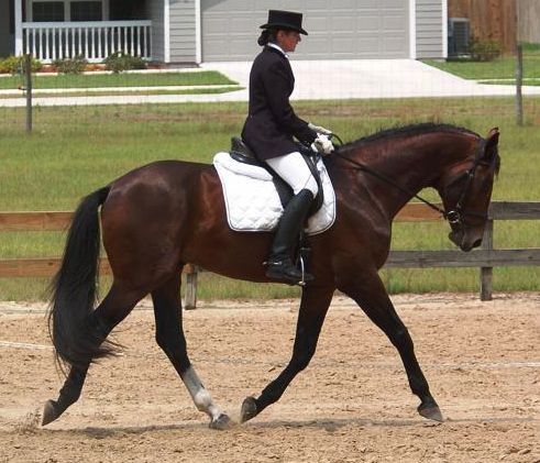 G Walkabout, ridden by Gigha